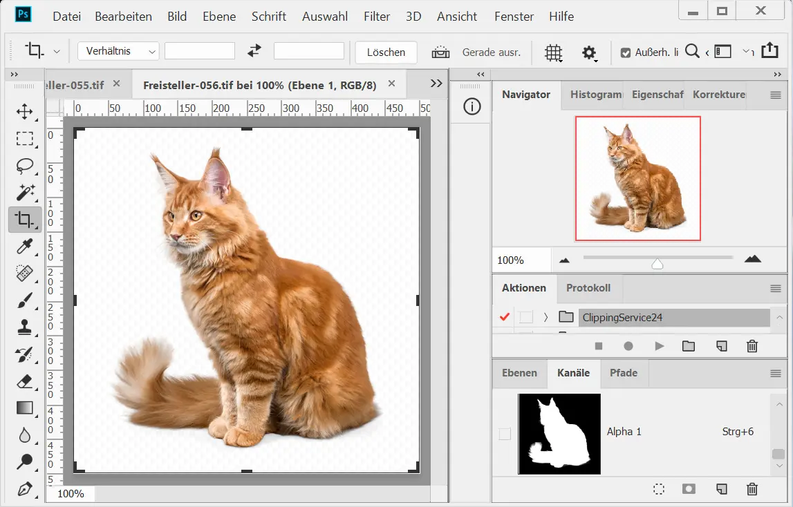 Alphakanal Freisteller, Haare freistellen Alphakanal Freisteller, Haare freistellen