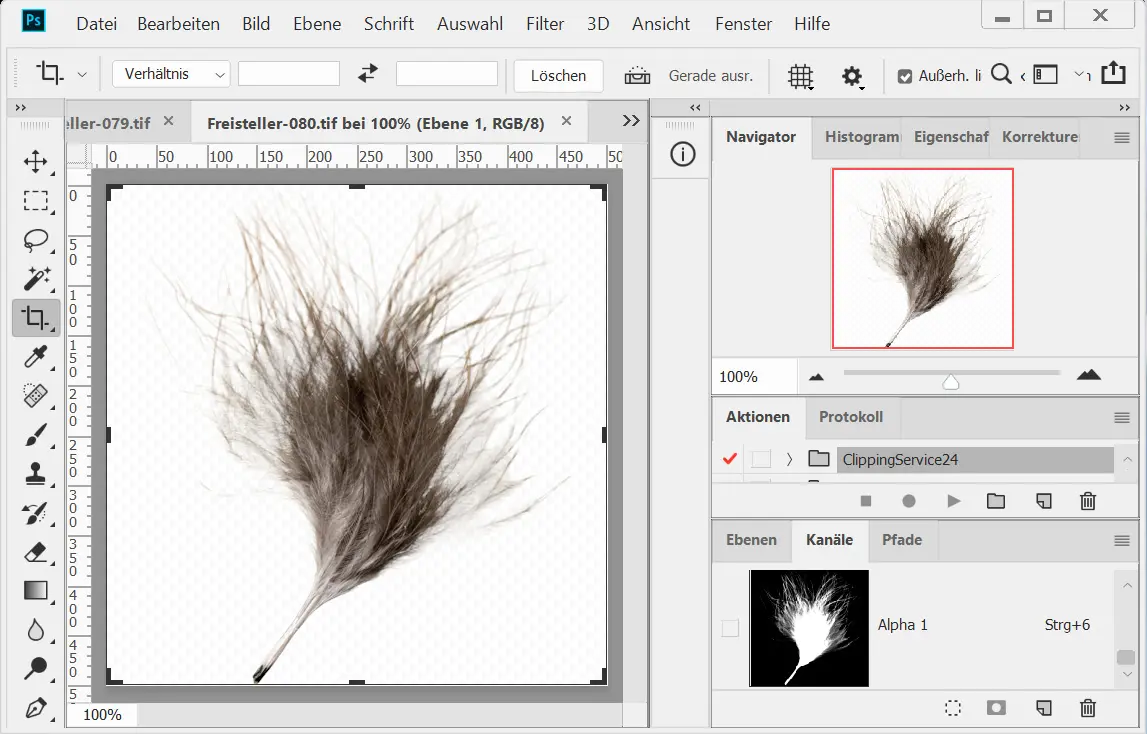 Alphakanal Freisteller, Haare freistellen Alphakanal Freisteller, Haare freistellen