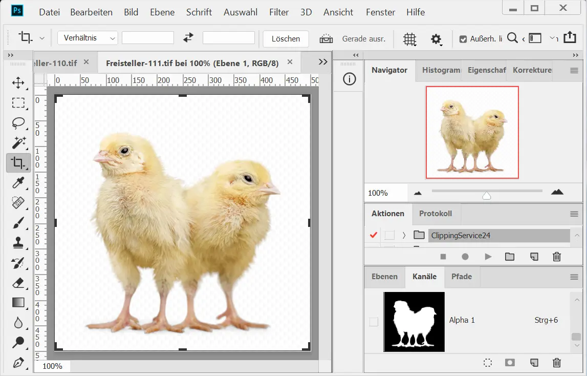 Alphakanal Freisteller, Haare freistellen Alphakanal Freisteller, Haare freistellen
